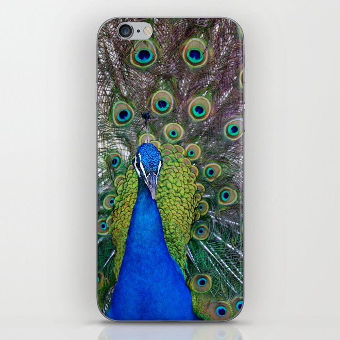 Mr. Peacock iPhone Skin