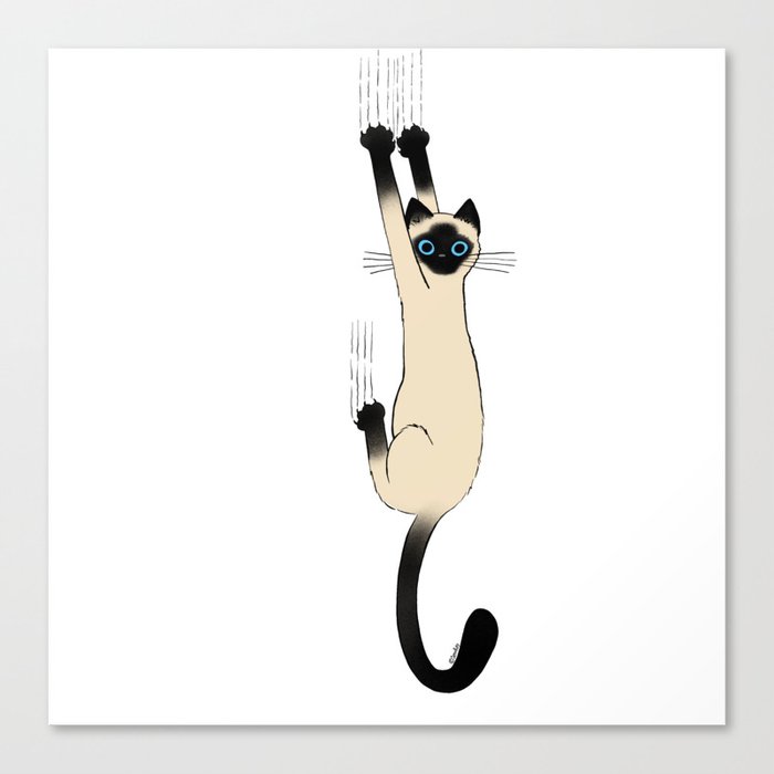 Siamese Cat Hanging On Canvas Print
