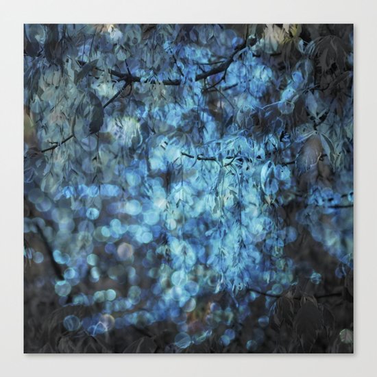 MIDNIGHT SPARKLES Canvas Print