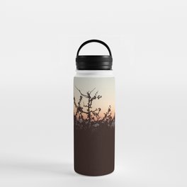 Contrast sunset Water Bottle