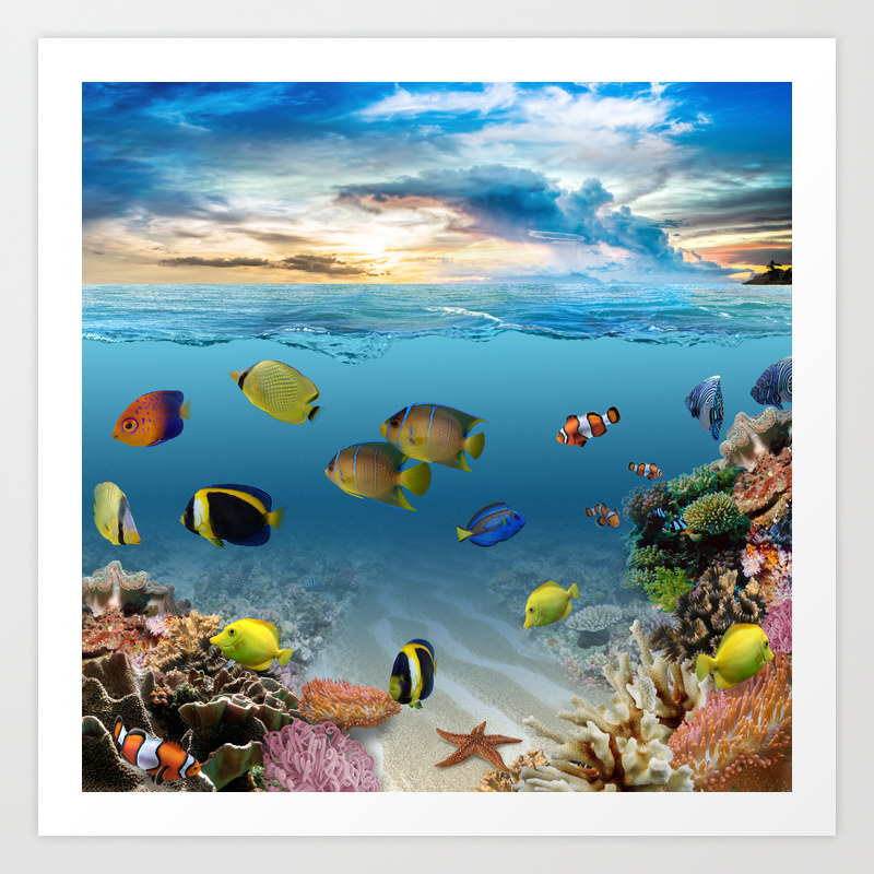 Tropical Ocean Fish Coral Reef Wall Picture Art Print 