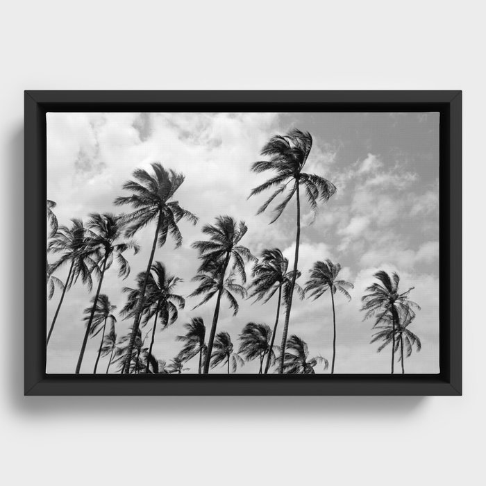 Palm Trees Hawaii Framed Canvas