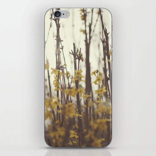 Golden Bells iPhone & iPod Skin