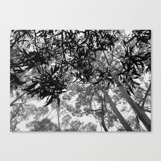 A Walk in the Clouds #4 Canvas Print