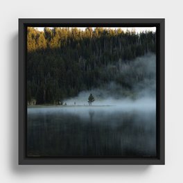 Tree in Mist Framed Canvas