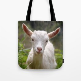 Baby goat Tote Bag