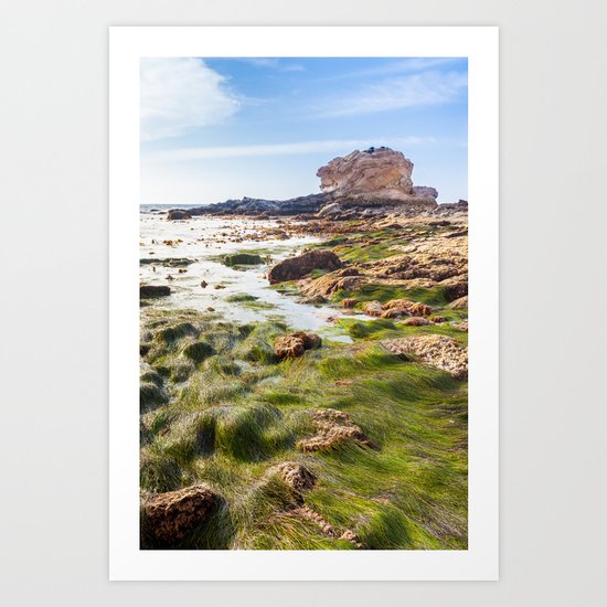 Crystal Cove State Park Art Print