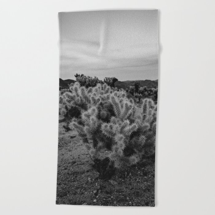 Cholla Cactus Garden IX Beach Towel