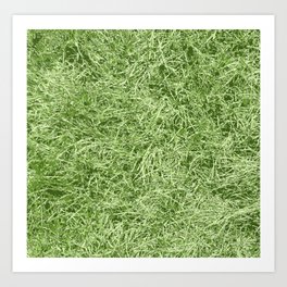 TURF, GRASS, LAWN MEADOW. Art Print