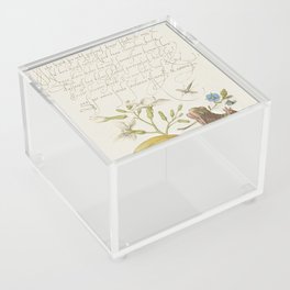 Lemon and frog vintage calligraphic art Acrylic Box
