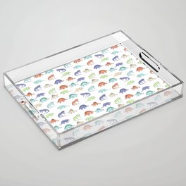 Different colourful dinosaurs Acrylic Tray