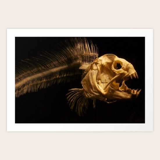 Remnants I Art Print