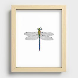 Dragonfly 2 Recessed Framed Print