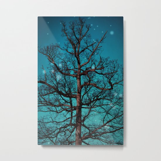 Evening Metal Print