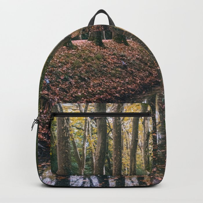 Reflection Backpack
