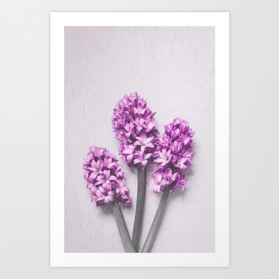 Pink Hyacinths Art Print