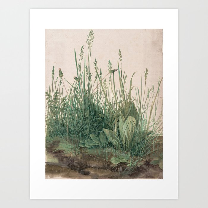 Albrecht Durer The large piece of turf (1503), Garden, Vintage, Retro, Classic painting Art Print