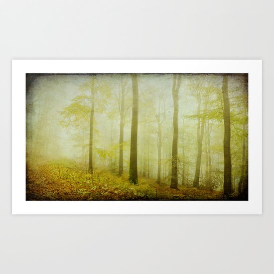 mist in the woods Art Print