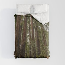 Redwood Forest Adventure VII - Nature Photography Duvet Cover