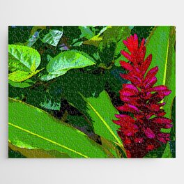 A fantastic tropical Red Ginger flower. Alpinia Purpurata. Common Name in Venezuela Pluma Roja Jigsaw Puzzle