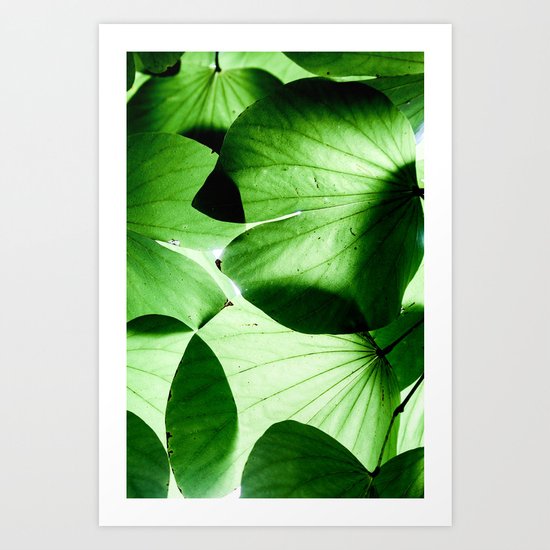 Shades of Green Art Print