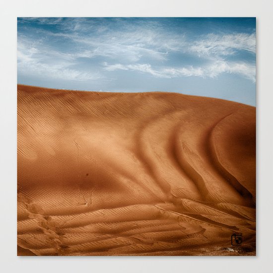 Desert Wave Canvas Print