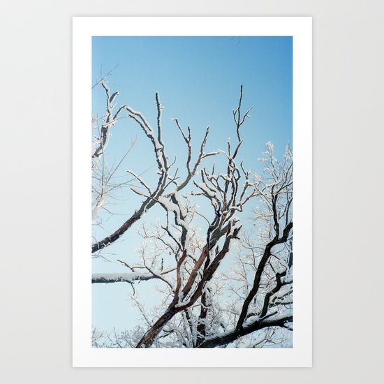 February II Art Print