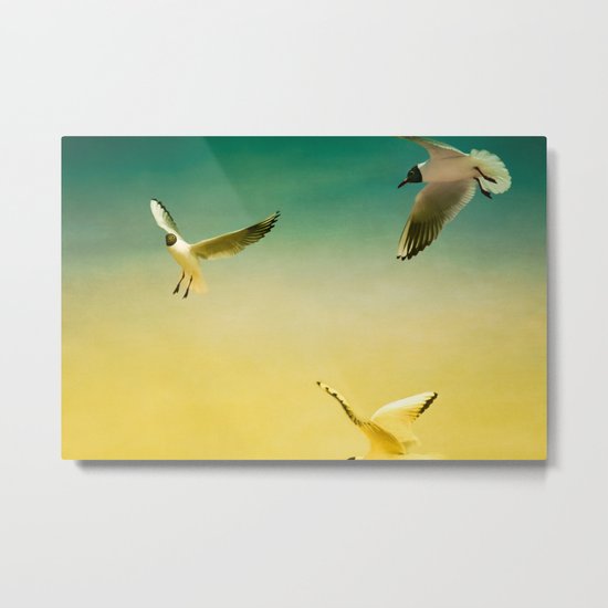 Seagulls Metal Print