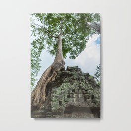 Ta Phrom, Angkor Archaeological Park, Siem Reap, Cambodia Metal Print | Nature, Cambodia, Jungletemple, Tombraider, Worldheritagesites, Taphrom, Color, Buddhist, Photo, Ficuscarica 