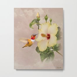 Rufous Hummingbird and Hibiscus Flower Metal Print | Digitalart, Hibiscus, Hummingbird, Spadecaller, Digital, Flower, Tropical, Painting, Rufoushummingbird, Floral 