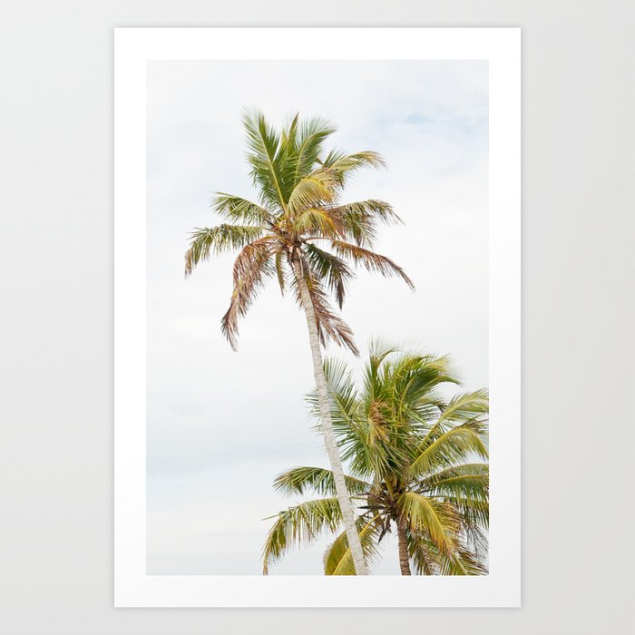 Floridian Palms #1 #tropical #wall #art #society6 Art Print