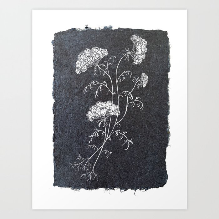 Queen Anne's Lace on Handmade Watercolor Paper No. 1 Art Print