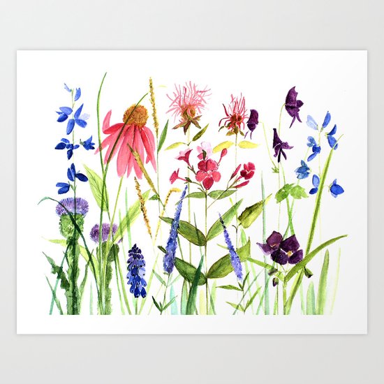 Botanical Colorful Flower Wildflower Watercolor Illustration Art Print