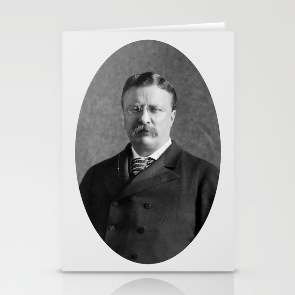 Theodore Roosevelt Portrait - 1904 Stationery Cards