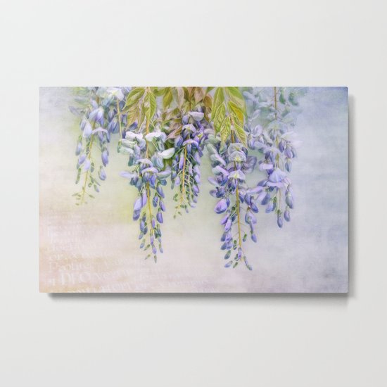 wisteria Metal Print