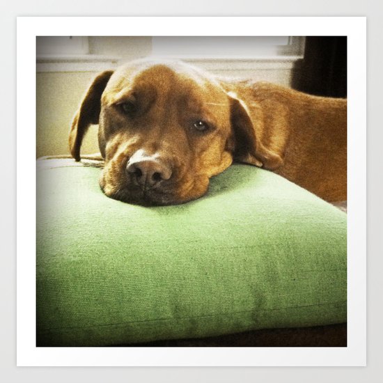 Green Pillow Art Print