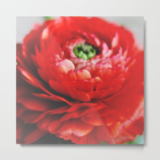 Frilly Metal Print