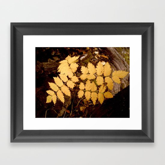 Forgotten (i won't be left) Framed Art Print
