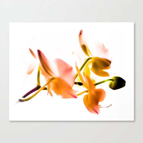 for luck:) Canvas Print