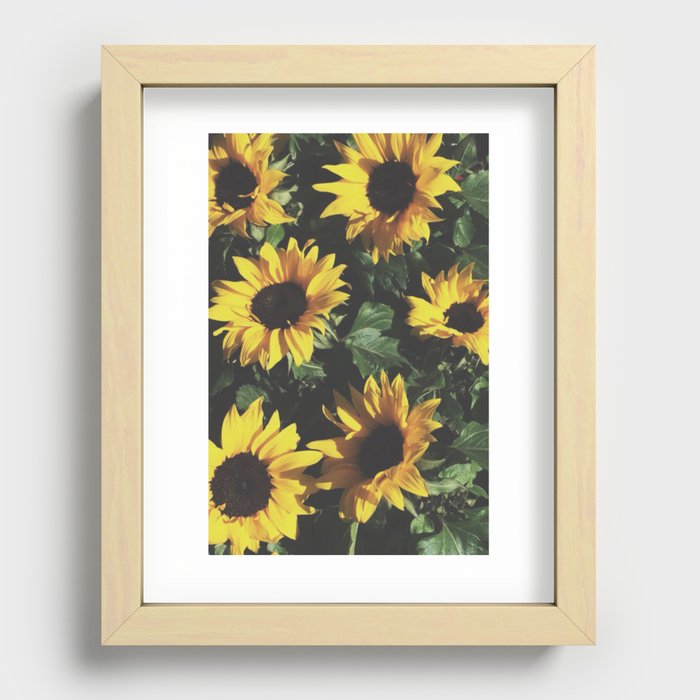 Vintage Sunflowers Recessed Framed Print