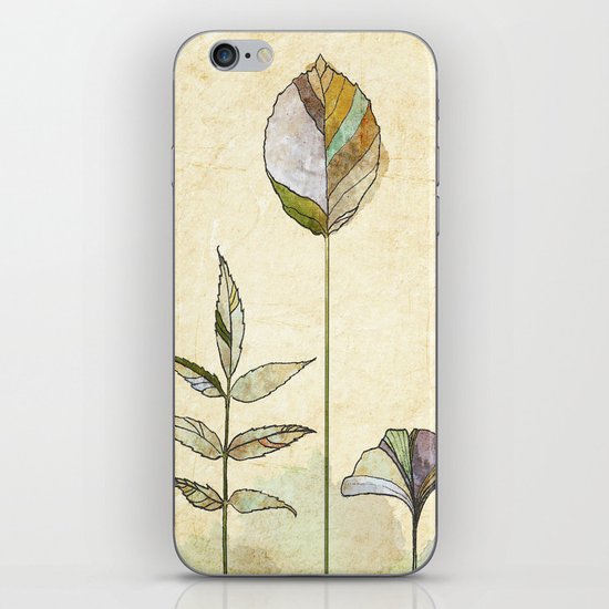 Leaf Study iPhone & iPod Skin