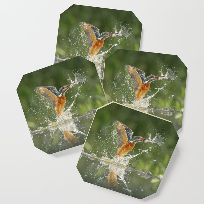 Flying Turquoise Blue and Orange Common Kingfisher Bird With Fish Animal / Wildlife / Nature Photograph Coasters And More