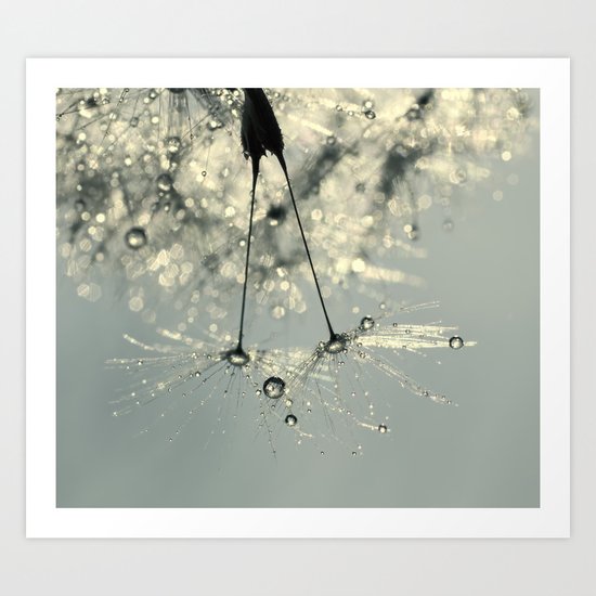 dandelion Art Print