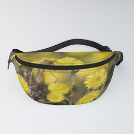 tussilago, flowers, plant, spring, yellow, macro Fanny Pack