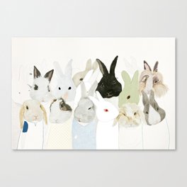 Many rabbits Canvas Print