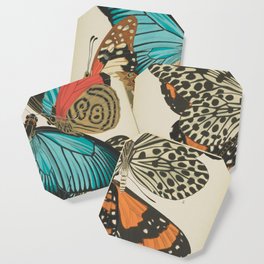 E.A.Séguy - Papillons / Butterflies (1925) Plate 11 Coaster