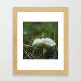A Tiny Mushroom Framed Art Print