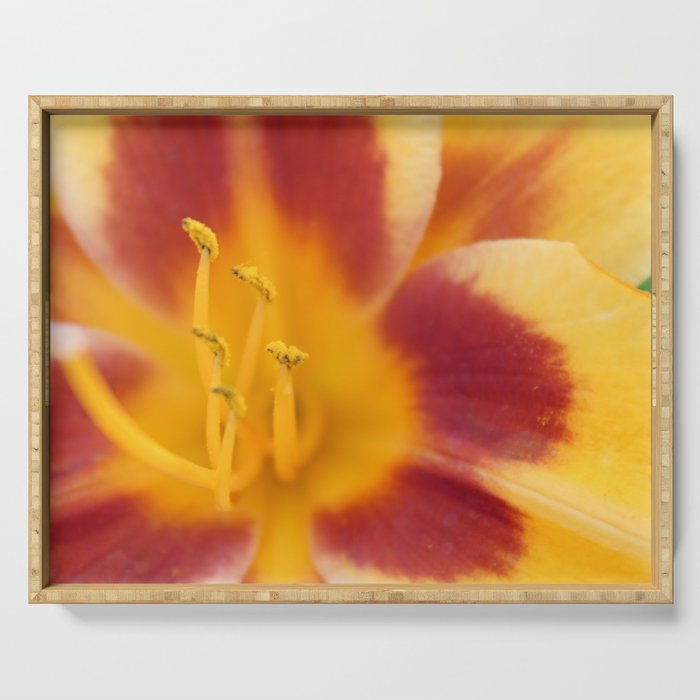 Orange Lily Serving Tray