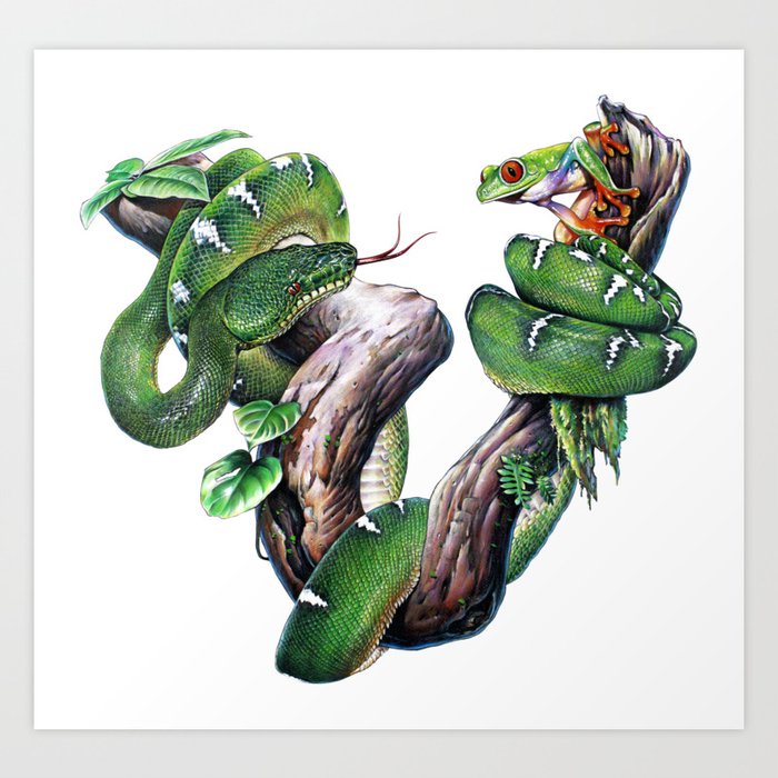Emerald Tree Boa and Tree Frog Art Print