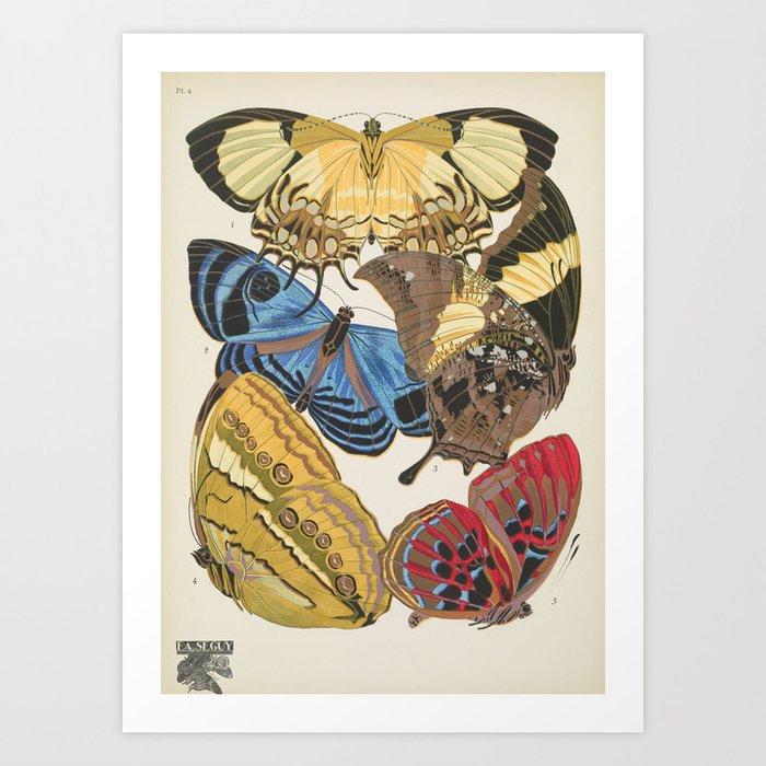 Butterfly and Moth Print by E.A. Seguy, 1925 #13 Art Print